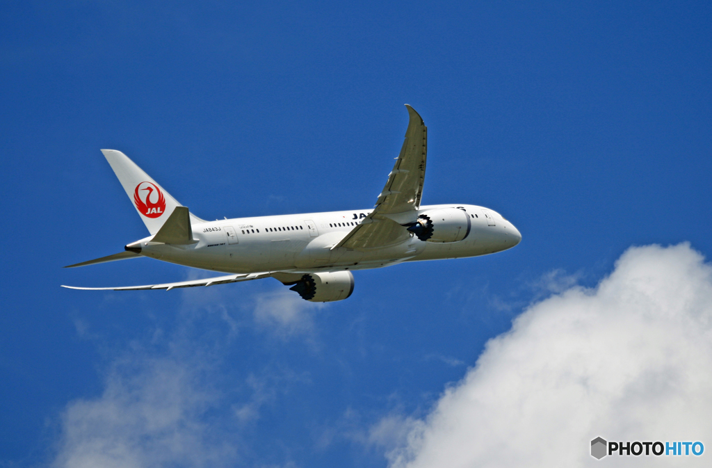 「青い空」JAL 787-8 JA843J