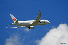 「青い空」JAL 787-8 JA843J