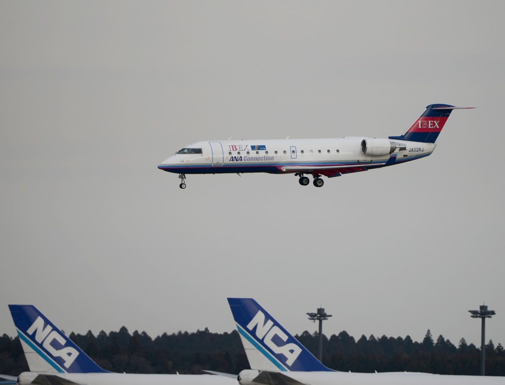 IBEX CL-600-2B19 到着