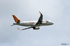 tigerair A320-232 B-50006 飛び立ち 