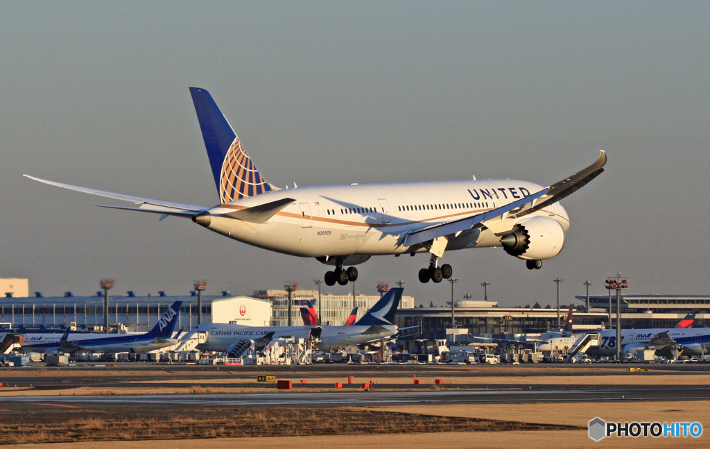 UNITED 787-8 N26906着陸  