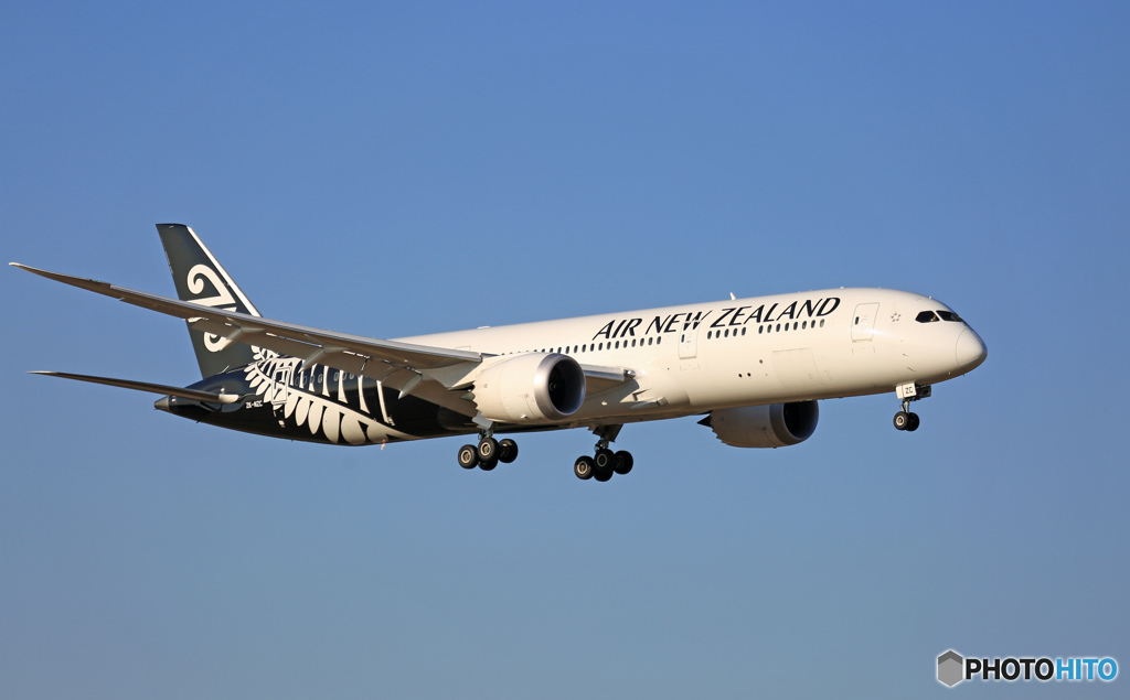 到着 Air New Zealand B787-9 ZK-NZC