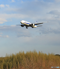 「良い天気」 ANA 777-381 JA782A着陸