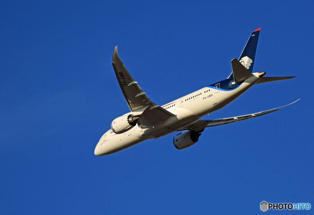 「スカイ」 AEROMEXICO 787-8 XA-AMR