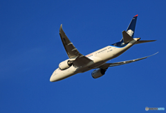 「スカイ」 AEROMEXICO 787-8 XA-AMR