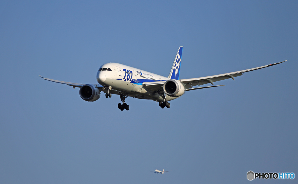 着陸 ANA 787-8 JA813A