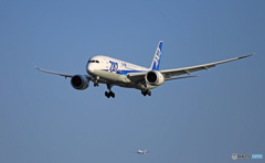着陸 ANA 787-8 JA813A