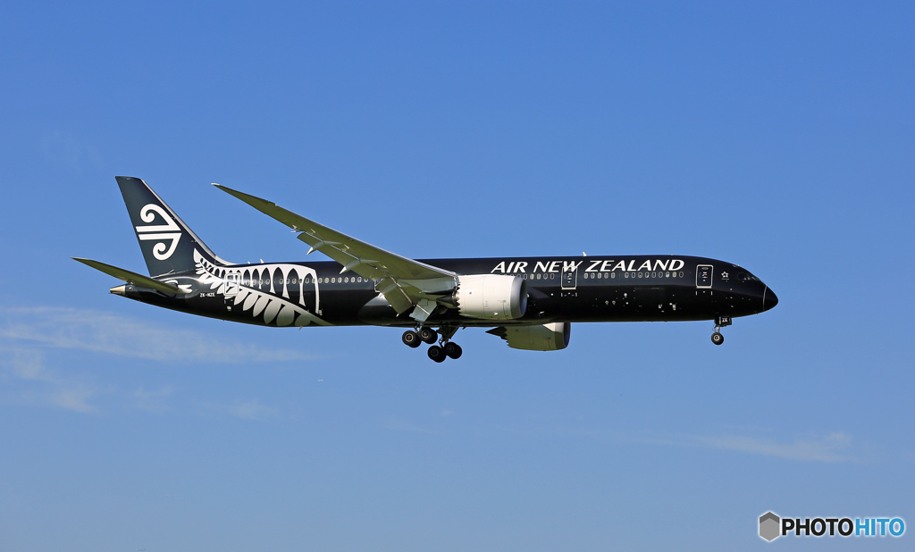 Air New Zealand All Blacks B787-9 ZK-NZE