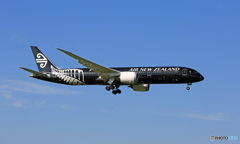 Air New Zealand All Blacks B787-9 ZK-NZE