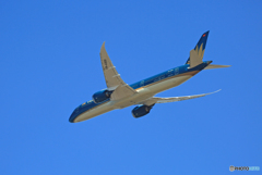 出発 Vietnam 787-9 VN-A869