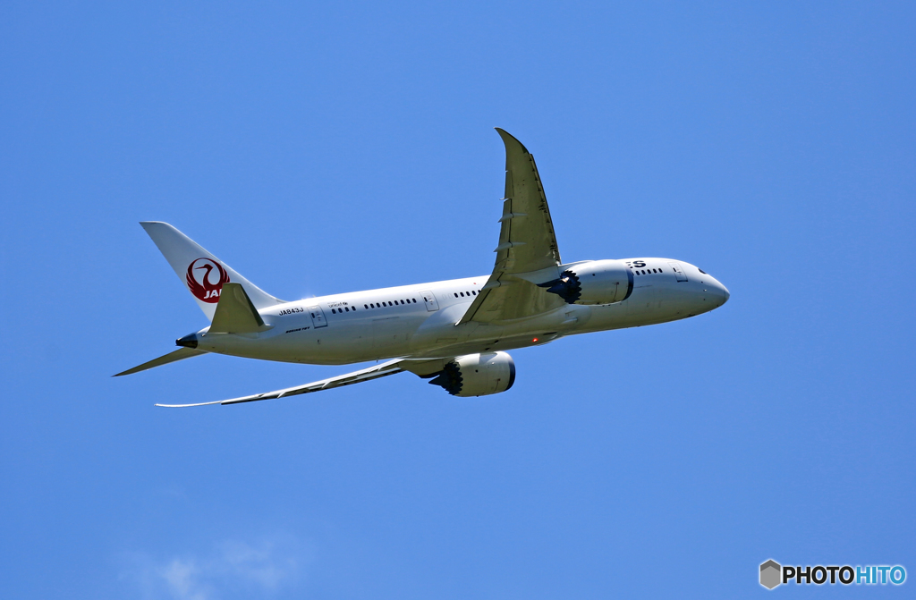 JAL 787-8 JA843J 出発 