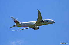 JAL 787-8 JA843J 出発 