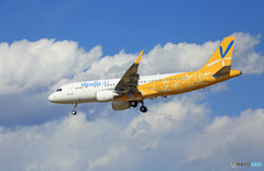 「空色」　Vanilla A320-214 JA12VA