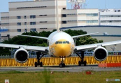 飛び立ち　scoot 777-212