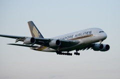 着陸(202-2)ｼﾝｶﾞﾎﾟｰﾙ・ｴｱ　Airbus A380-841　