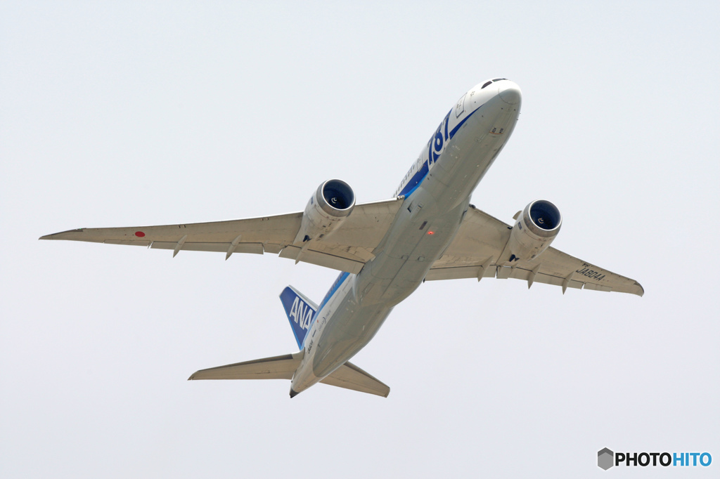 ANA 787-8 JA804A