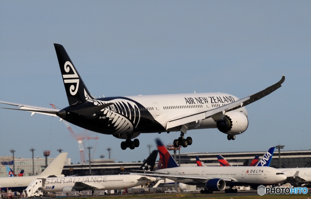 Air New Zealand 787-9 ZK-NZG