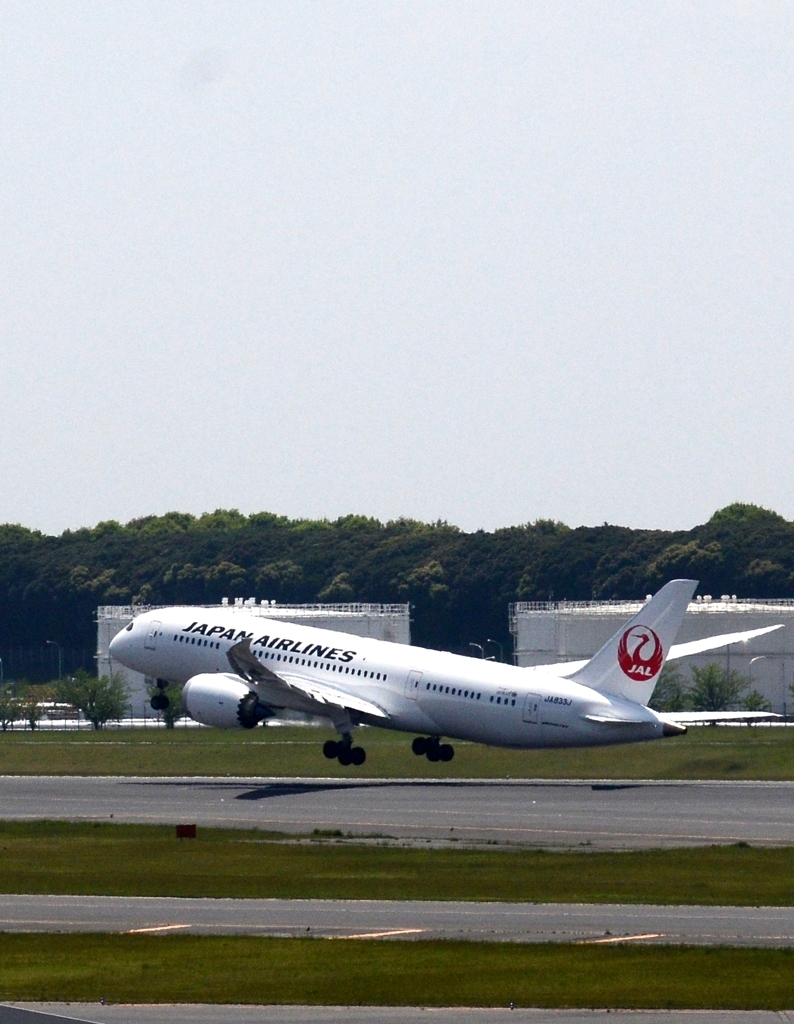 飛び立ち（125）Japan Airlines　787-8　