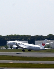 飛び立ち（125）Japan Airlines　787-8　