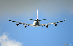 CHINA 747-400 B-18205/ジャンボ保存委員会