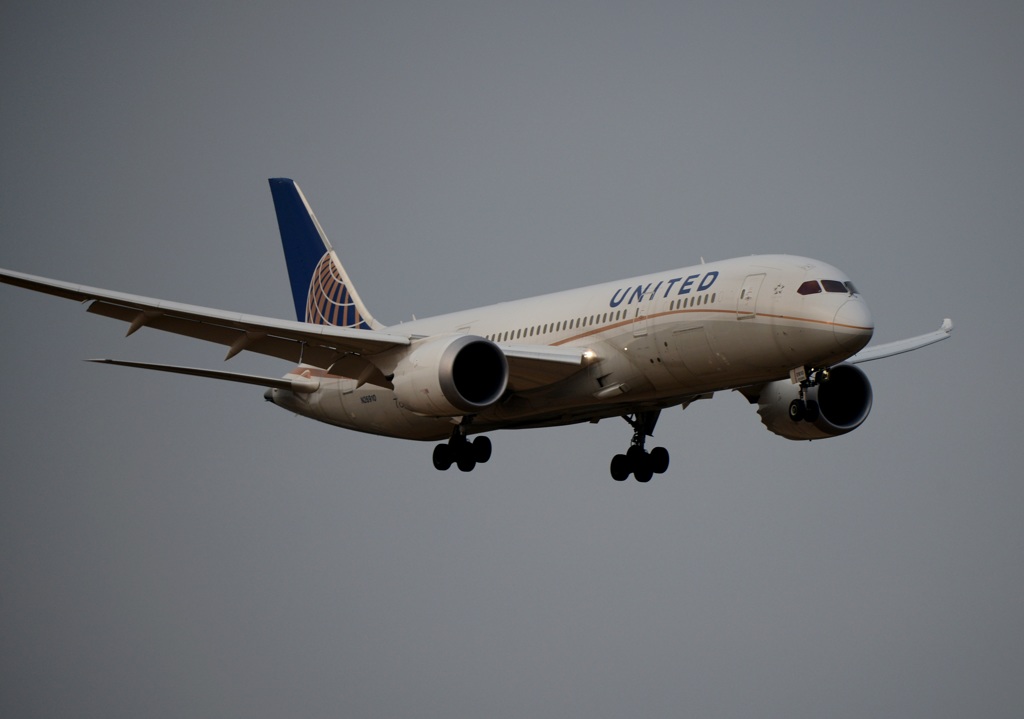 UNITED 787-8 到着