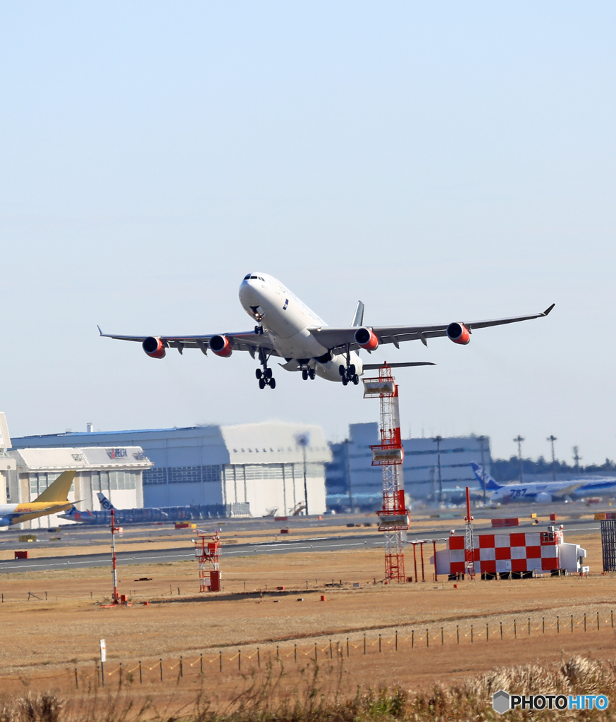 「青空」 SAS A340-313 OY-KBM