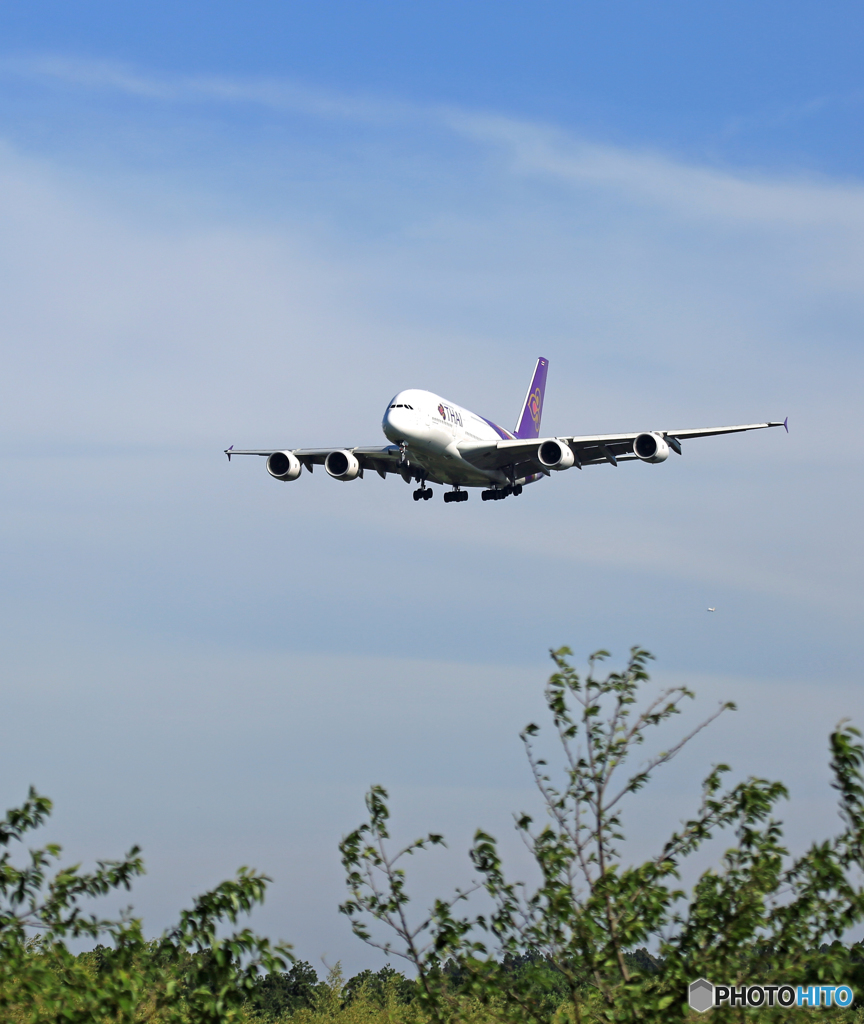 THAI A380-841 着地前 