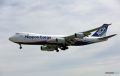 到着NCA 747-8KZF JA11KZ/ジャンボ保存委員会