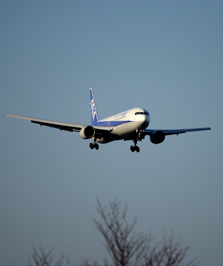 到着　ANA 767-381 