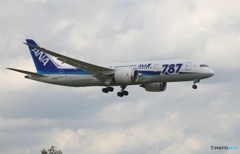 ANA 787-8 到着　