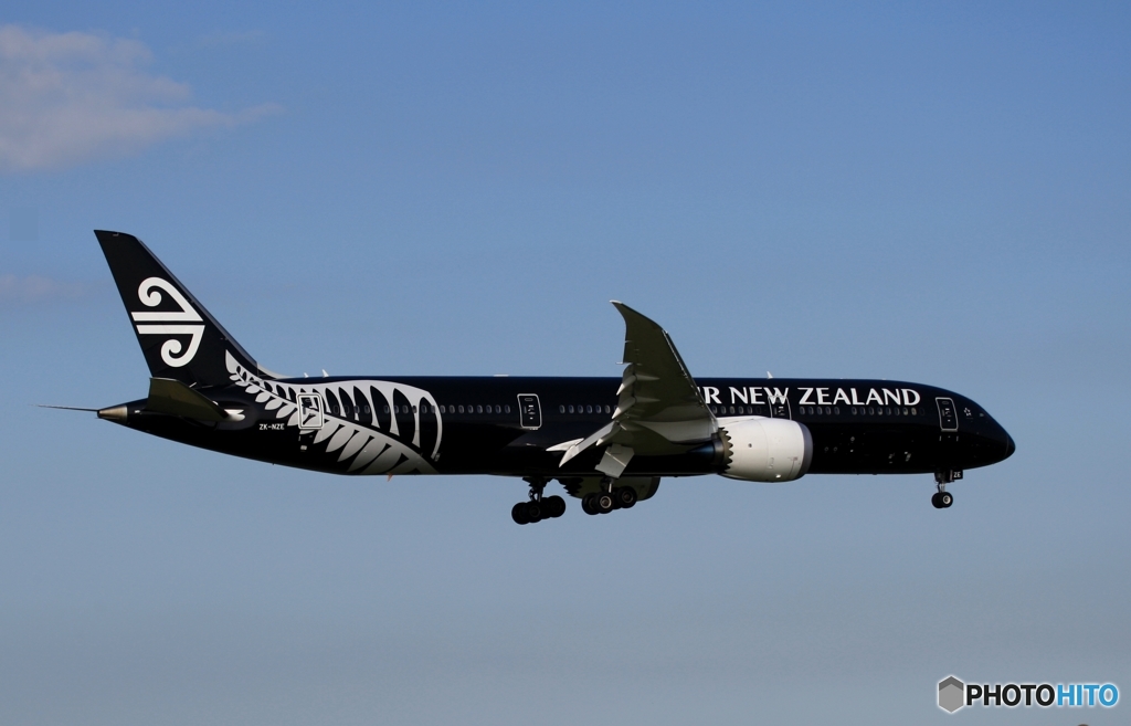 Air New Zealand 「All Blacks」787-9 ZK-NZE