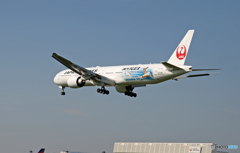 到着 JET KEI 777-346ER JA733J