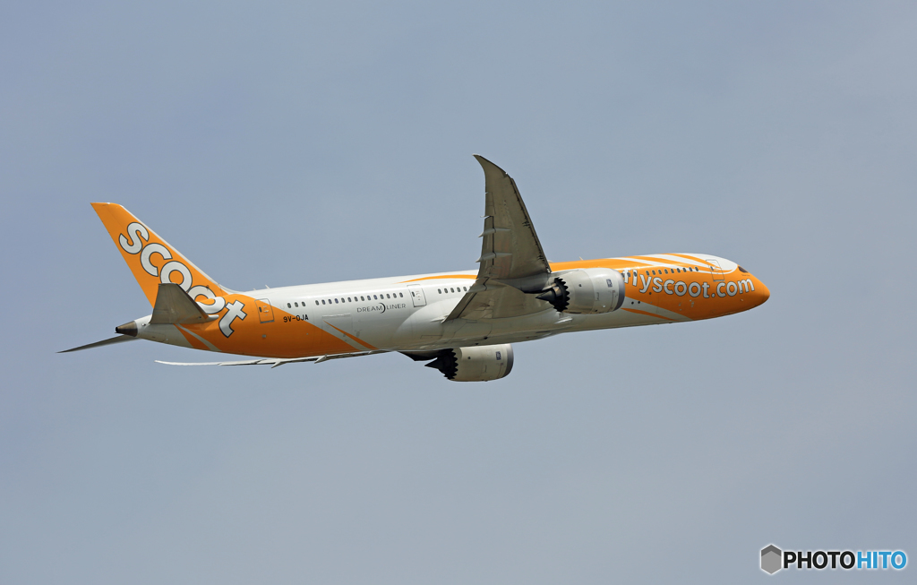 scoot 787-9 9V-OJA 離陸　