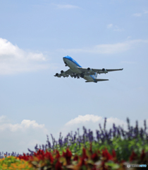 KLM７４７ジャンボ機ラスト・フライト9/3(土)ですよ。