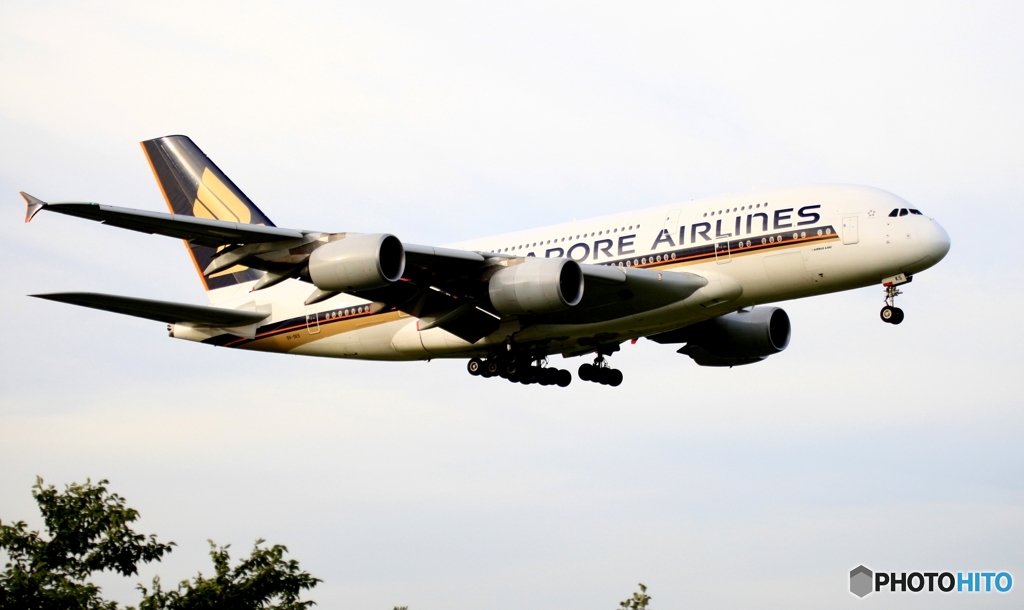 到着　Singapore A380-841