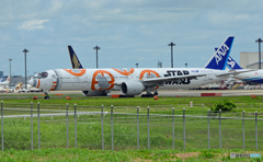 「STAR WARS」 JA789A/ANA(B777-381)