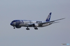 ANA 787-9 JA873A 到着　