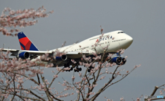 「７４７ジャンボ機」　と　「桜」