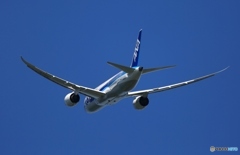 離陸　ANA 787-8