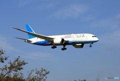Xiamen Airlines Boeing 787-8 Dreamliner 