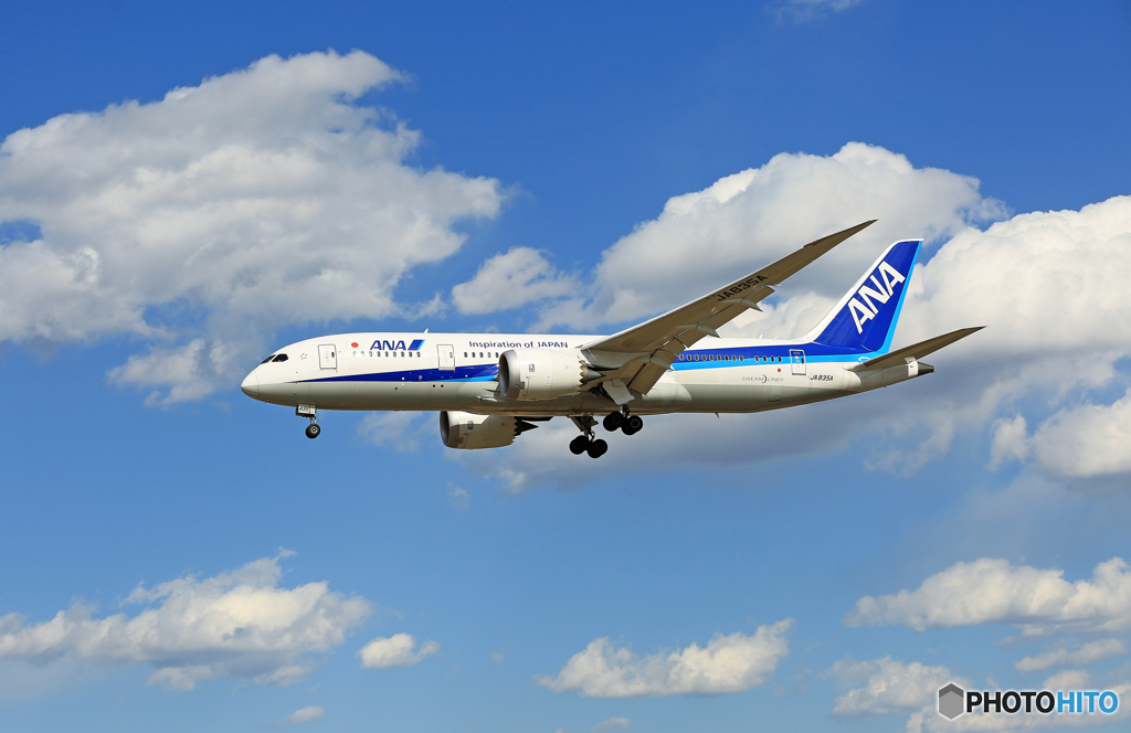 「青い空」が一番 ANA 787-8 JA835A