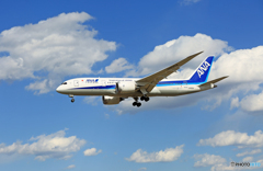 「青い空」が一番 ANA 787-8 JA835A