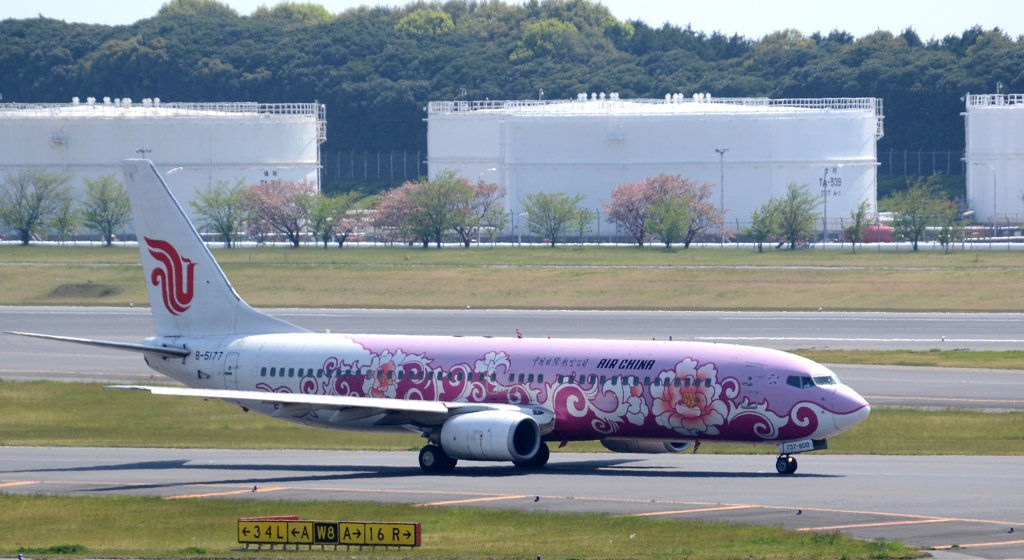 山東航空　737