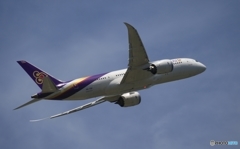 飛行　Thai 787-8