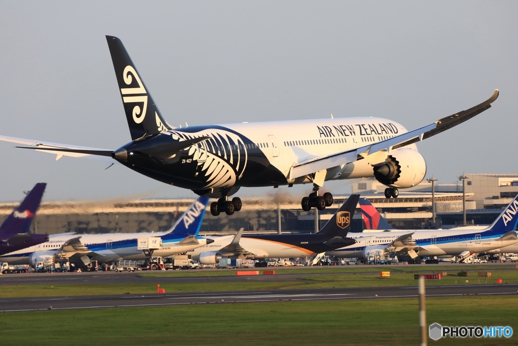 着陸 Air New Zealand 787-9 ZK-NZF