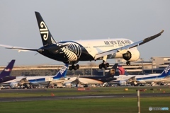 着陸 Air New Zealand 787-9 ZK-NZF 着陸 Air New Zealand 787-9 ZK-NZF