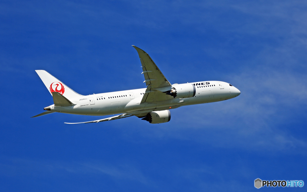 離陸 JAL 787-8 JA842J