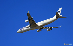 「そらー」 Finnair A340-313 OH-LQD Takeoff