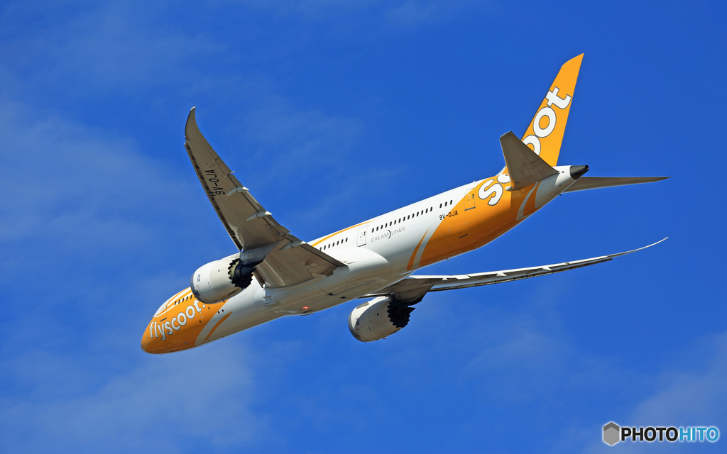 「青空」 scoot 787-9 9V-OJA飛行