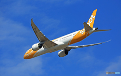 「青空」 scoot 787-9 9V-OJA飛行